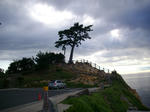 IMGP0516.JPG