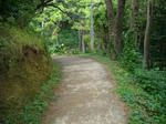 IMGP0526.JPG