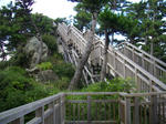 IMGP0533.JPG