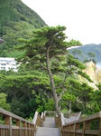 IMGP0541.JPG