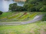 IMGP0565.JPG