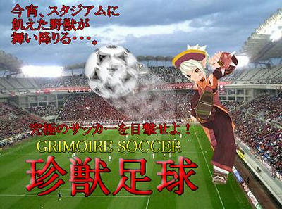珍獣足球ポスター