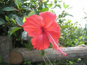 s-IMG_0621.jpg