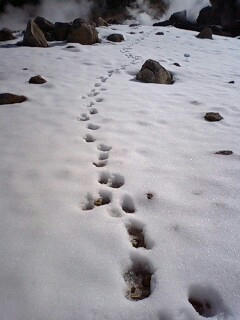 090305_1333~0001.jpg