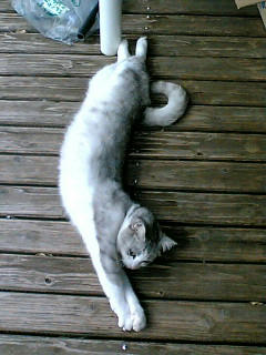 PA0_0506.JPG