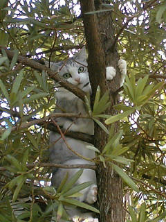 PA0_0604.JPG