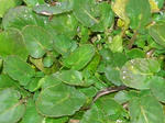 0aburana070415f_u2.jpg