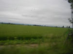 0ine070817b_u1.jpg