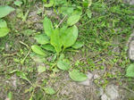 0oobako_20080511SANY0028_u1.jpg