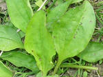 0oobako_20080511SANY0028_u2.jpg