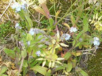 0ezomura20080511SANY0013_u2.jpg