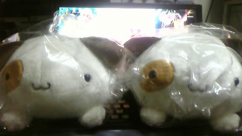 ２ぱんにゃ