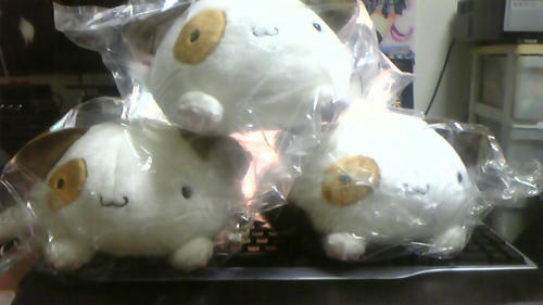 ３ぱんにゃ