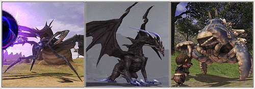NM.gif