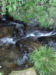 P2009_0820_152536.JPG