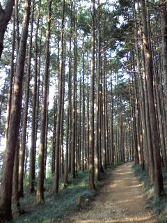 P2009_0820_165816.JPG
