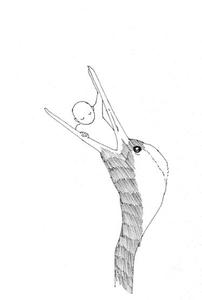 63d10610.JPG