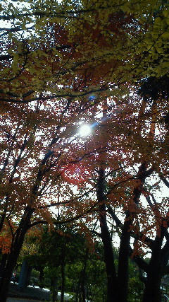 201211151327000.jpg