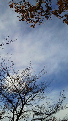 201211151332000.jpg
