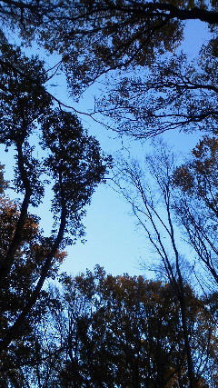 201212081612000.jpg