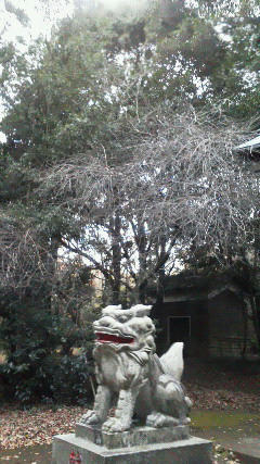 201212081619000.jpg