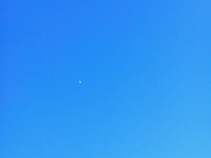 201301191604000.jpg