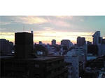 d7445a33.jpg