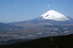 春の富士