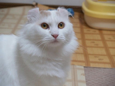 ヒロ