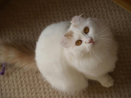 ヒロ