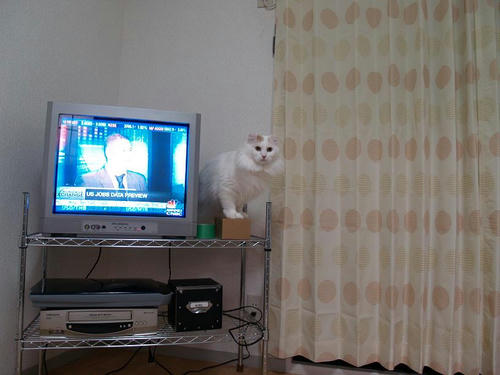 ヒロ
