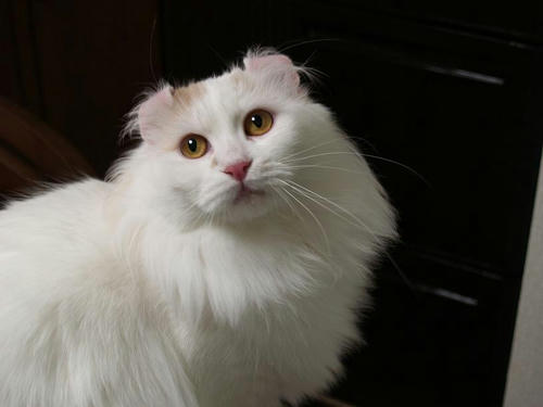 ヒロ