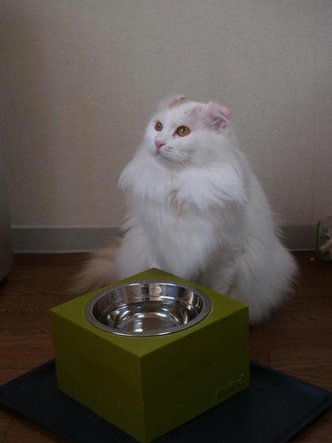 ヒロ