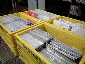 CA3A0022.JPG