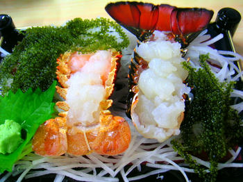 PICT0219.JPG