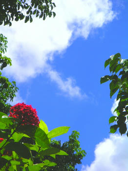 PICT0208.JPG