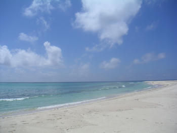 c8b7d258.JPG