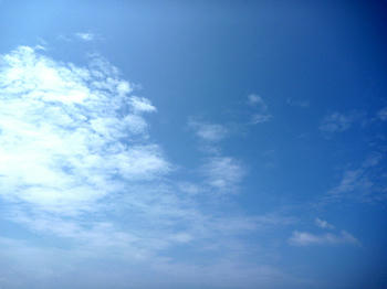 b6860dbb.JPG