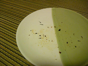 873a6e1d.JPG