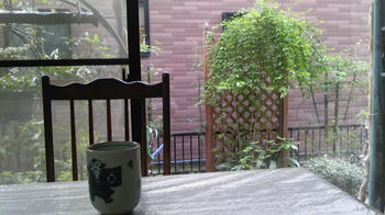 SH3C0068.jpg