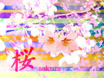 sakura