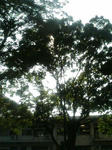 070806_1552~01.JPG