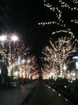 071223_2026~01.JPG