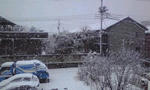 080203_1111~01001.jpg
