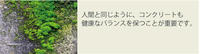 header_pr_ns_07.jpg
