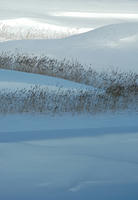 snow_landscape.jpg