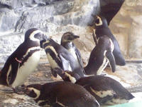 DVC00192_M.JPG