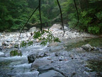 DSCF3768.jpg