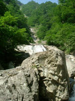 DSCF3786.jpg