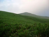 DSCF3873.jpg